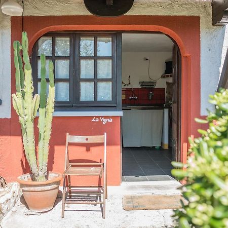 La Fattoria Di Nonna Eugenia Bed & Breakfast เลริชี ภายนอก รูปภาพ