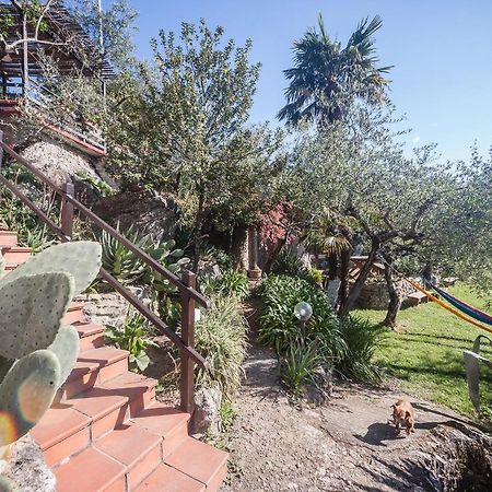 La Fattoria Di Nonna Eugenia Bed & Breakfast เลริชี ภายนอก รูปภาพ