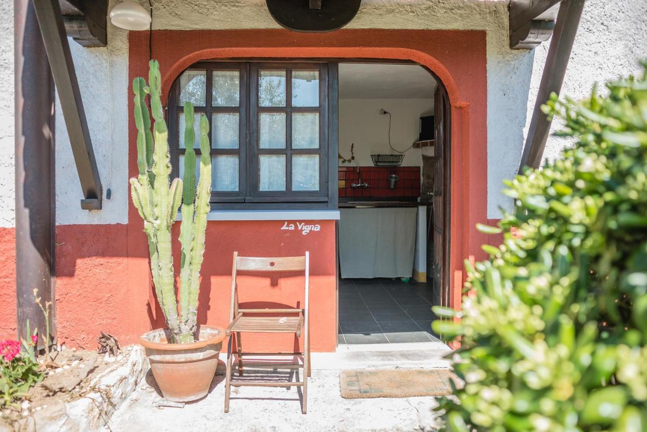 La Fattoria Di Nonna Eugenia Bed & Breakfast เลริชี ภายนอก รูปภาพ