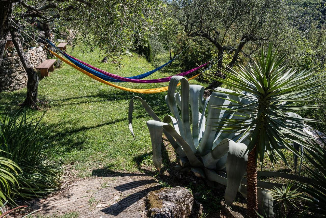La Fattoria Di Nonna Eugenia Bed & Breakfast เลริชี ภายนอก รูปภาพ