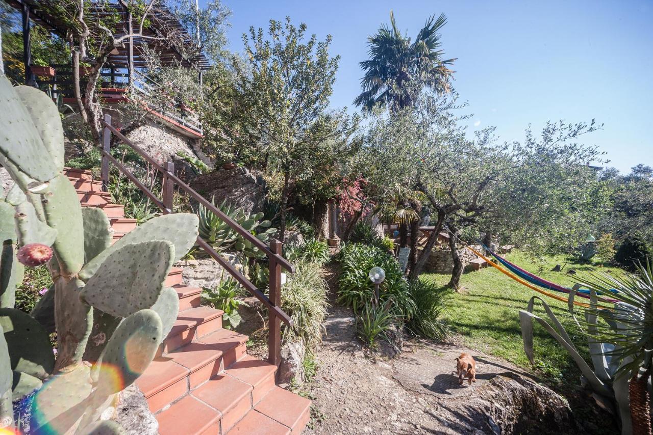 La Fattoria Di Nonna Eugenia Bed & Breakfast เลริชี ภายนอก รูปภาพ