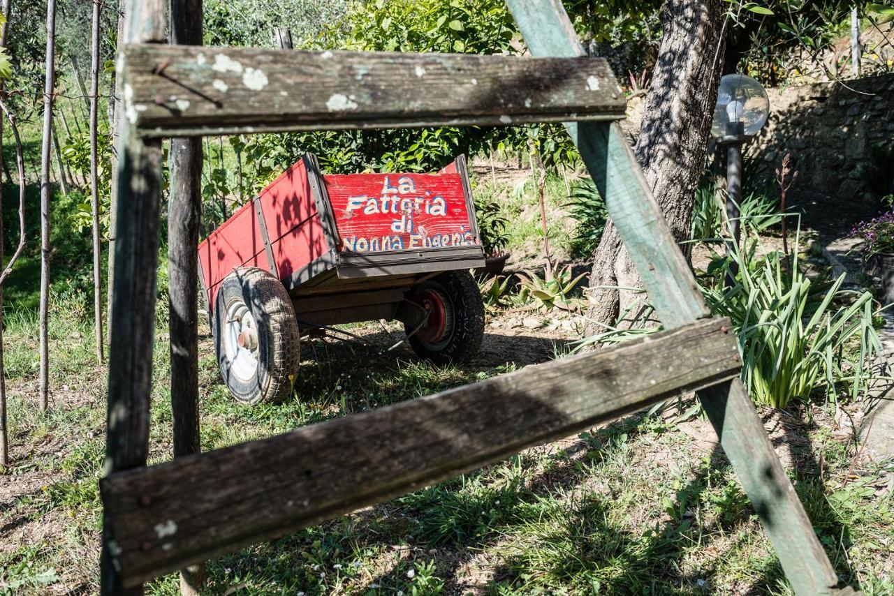 La Fattoria Di Nonna Eugenia Bed & Breakfast เลริชี ภายนอก รูปภาพ