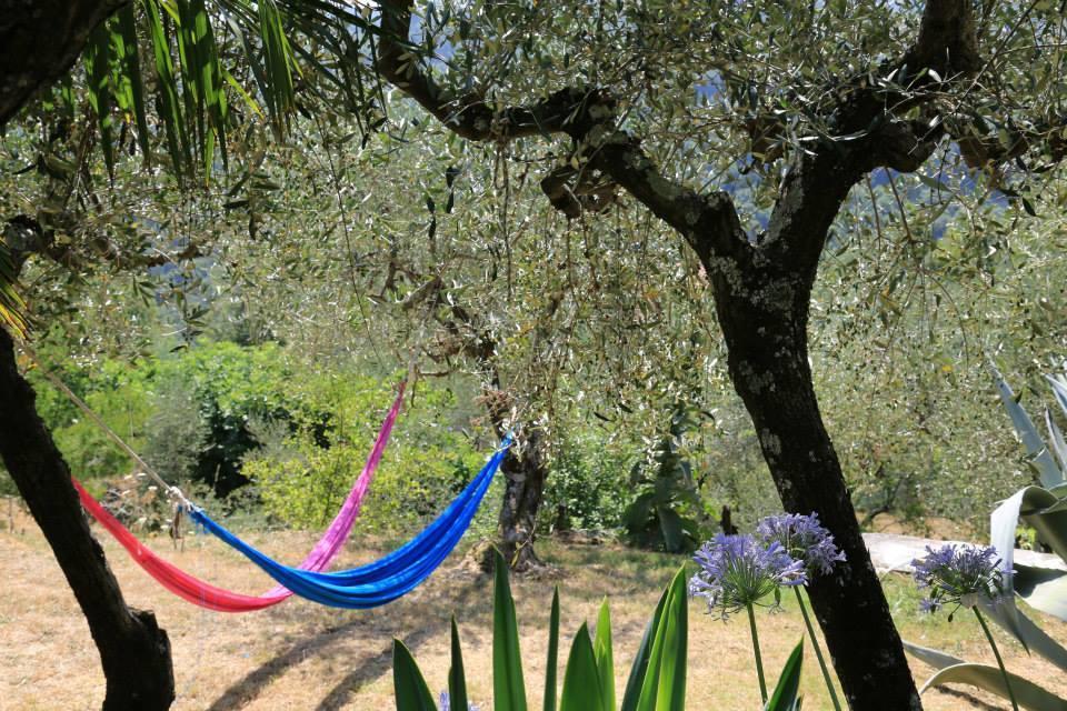 La Fattoria Di Nonna Eugenia Bed & Breakfast เลริชี ภายนอก รูปภาพ