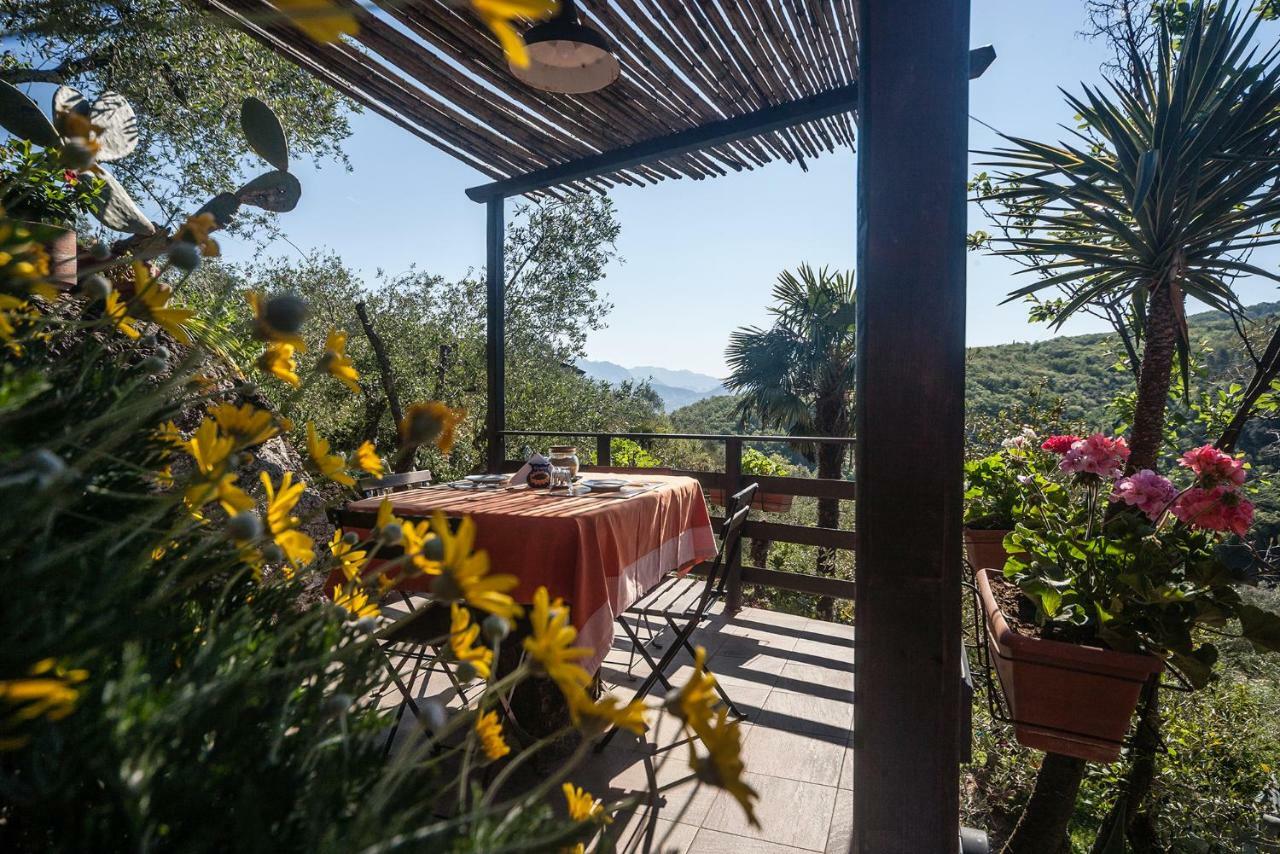 La Fattoria Di Nonna Eugenia Bed & Breakfast เลริชี ภายนอก รูปภาพ